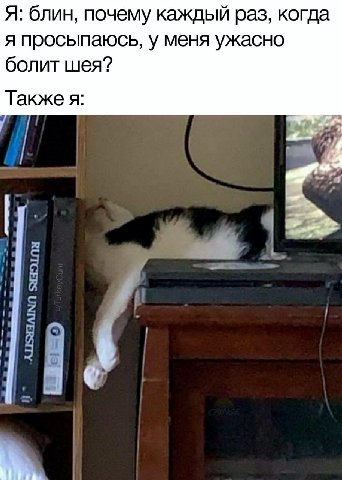 Я: блин, почему каждый раз, когда я просыпаюсь, у меня ужасно болит шея? Также я: