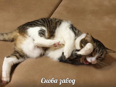 Снова завод