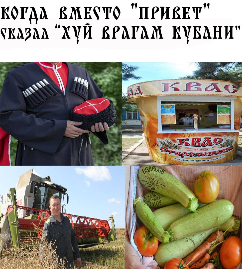 41 41 ВМЕСТО "ПРИВЕТ ВРАГАМ КУБАНИ" И я 1