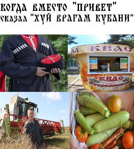 41 41 ВМЕСТО "ПРИВЕТ ВРАГАМ КУБАНИ" И я 1