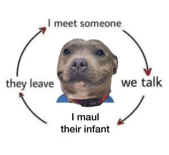 meet someone they leave we talk maul their infant