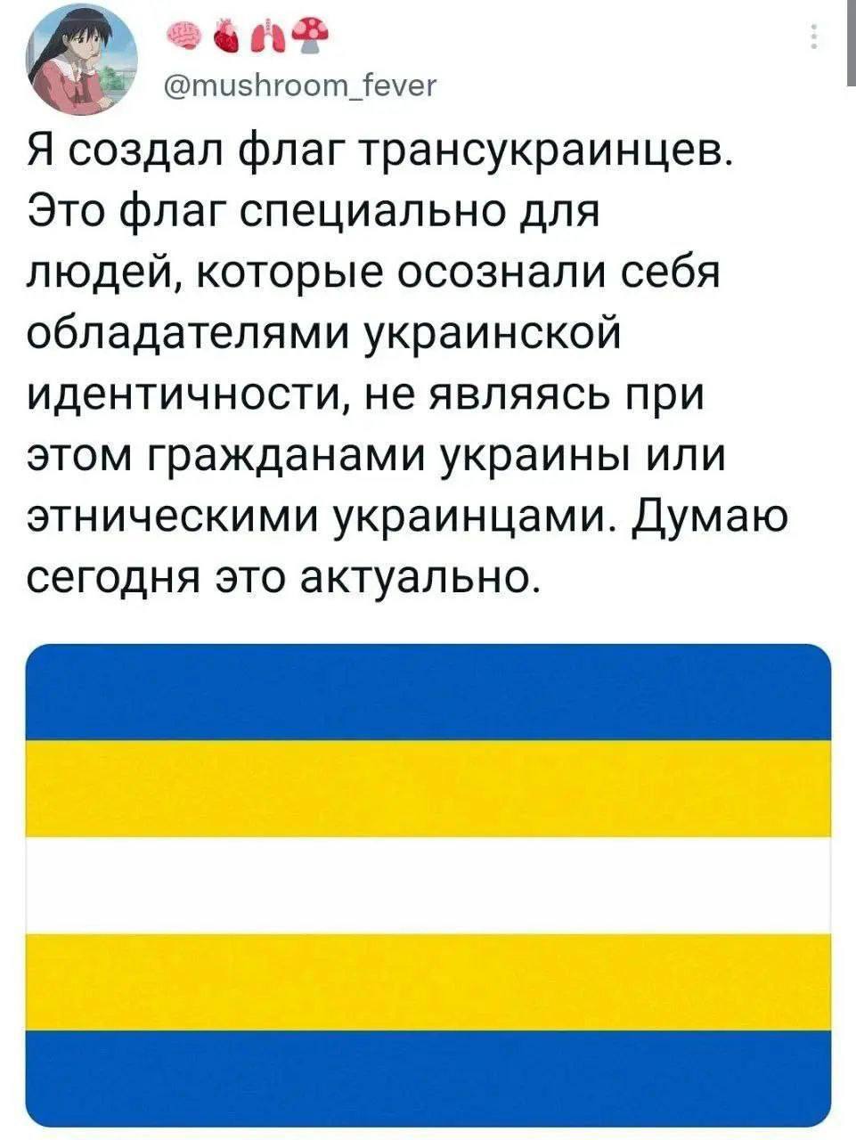 @mushroom_fever Я создал флаг трансукраинцев. Это флаг специально для людей, которые осознали себя обладателями украинской идентичности, не являясь при этом гражданами украины или этническими украинца