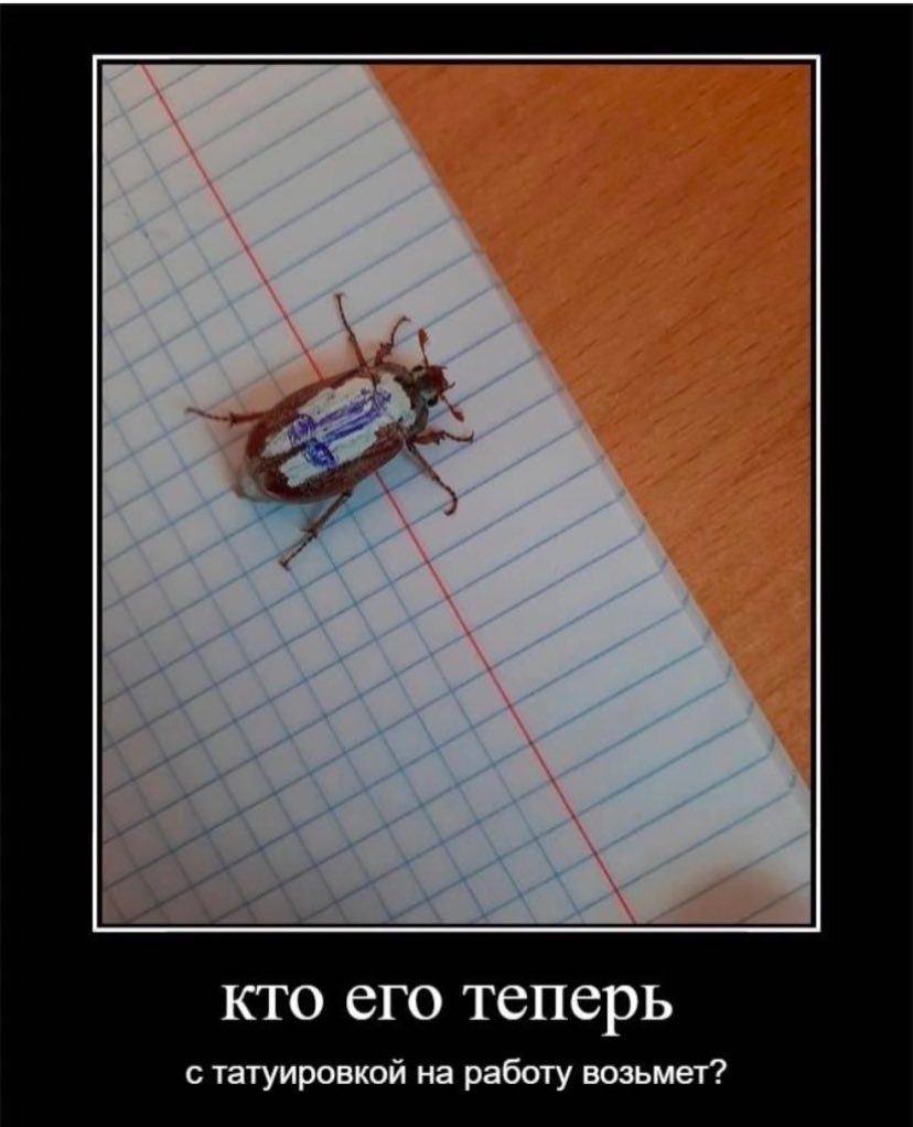 кто его теперь с татуировкой на работу возьмет?