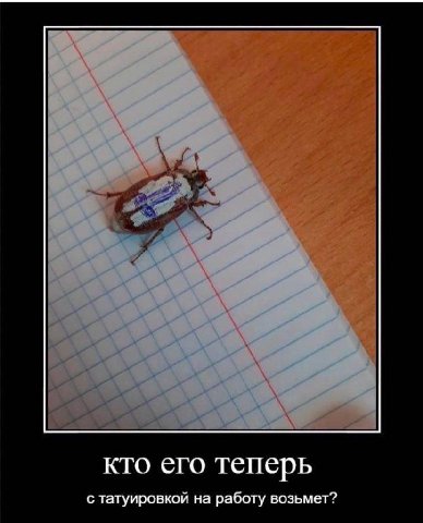 кто его теперь с татуировкой на работу возьмет?
