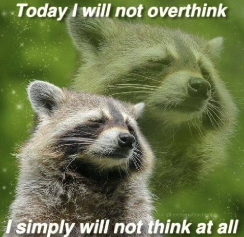 Today will not overthink simply will not think at all