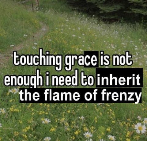 touching grace is not enough i need to inherit the flame of frenzy