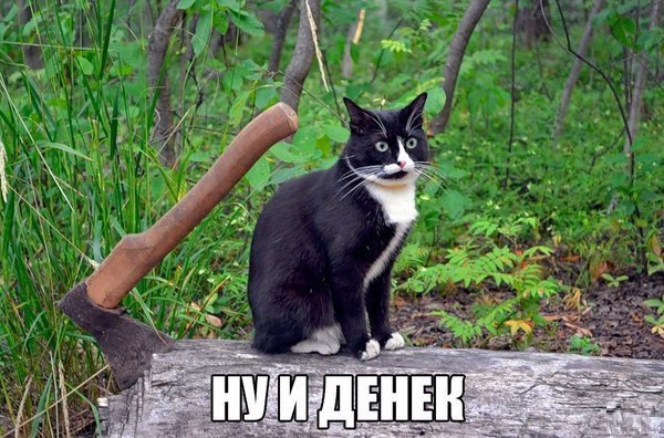 ЕНЕ А