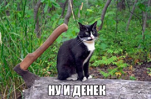 ЕНЕ А