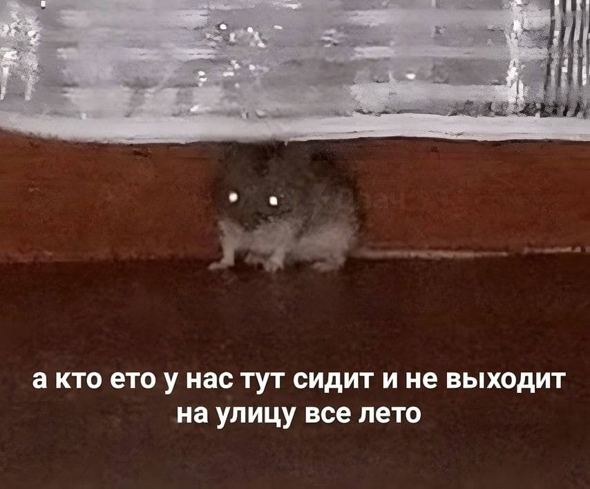 а кто етоу нас тут сидит ине выходит на улицу все лето