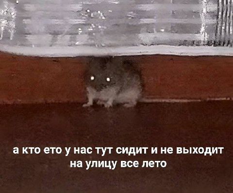 а кто етоу нас тут сидит ине выходит на улицу все лето