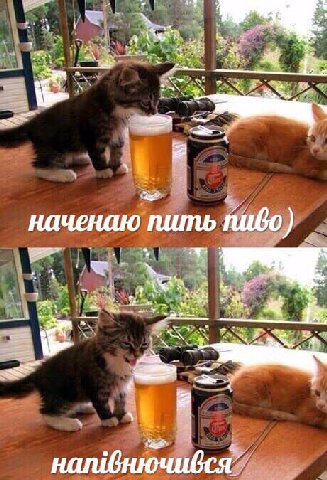 наченаю пить пибо