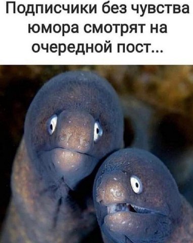 Подписчики без чувства юмора смотрят на очередной пост...