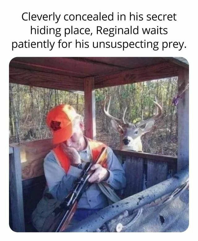 Cleverly concealed in his secret hiding place, Reginald waits patiently for his unsuspecting prey. у a