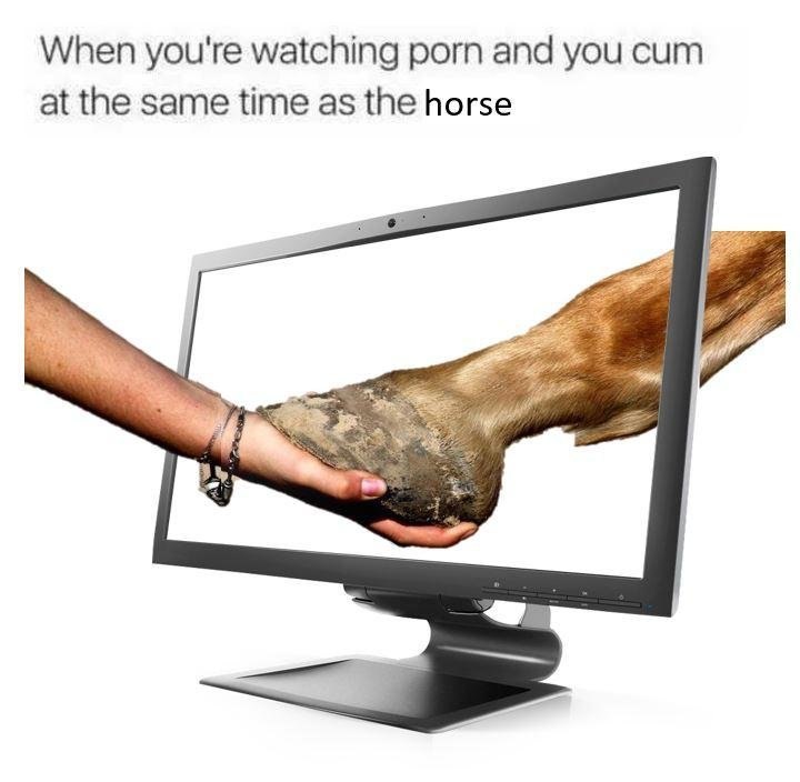 When you're watching porn and you cum at the same time as the horse