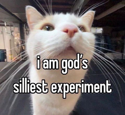 god's experiment
