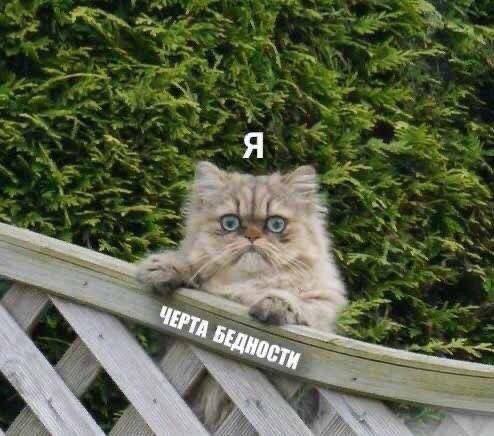 Я 4