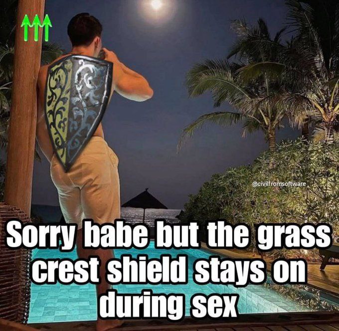 Sorry babe but the grass shield stays on during