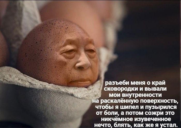 разъеби меня о край сковородки и вывали мои внутренности на раскалённую поверхность, чтобы я шипел и пузырился от боли, а потом сожри это никчёмное изувеченное нечто, блять, как жея устал.