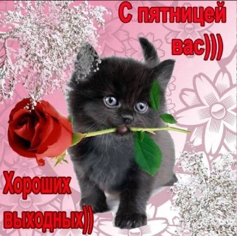 4 4 о 4 it Я 2 7$