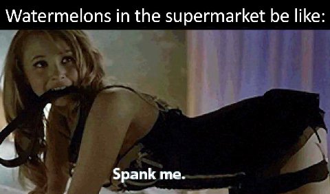 Watermelons in the supermarket be like: Spank me.