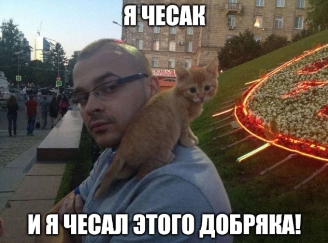 4 Я ЧЕСАК 1 ЧЕСАЛ ЭТОГО ДОБРЯКА!