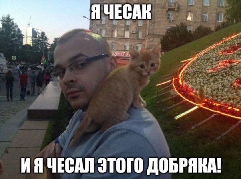 4 Я ЧЕСАК 1 ЧЕСАЛ ЭТОГО ДОБРЯКА!