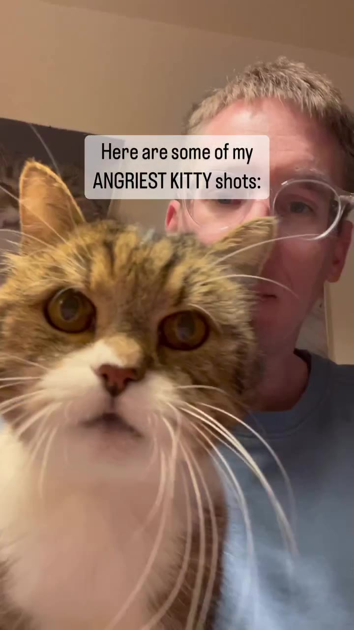 | ANGRIEST KITTY shots: | Its|justione|ofithose \
