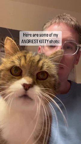 | ANGRIEST KITTY shots: | Its|justione|ofithose \