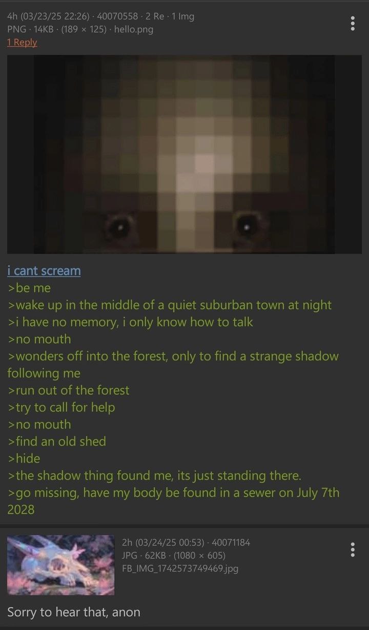 (03/23/25 22:26) 40070558 2 PNG (189 125) hello.png i cant scream >be me >wake up in the middle of a quiet suburban town at night >i have no memory, i only know how to talk >no mouth >wonders off into