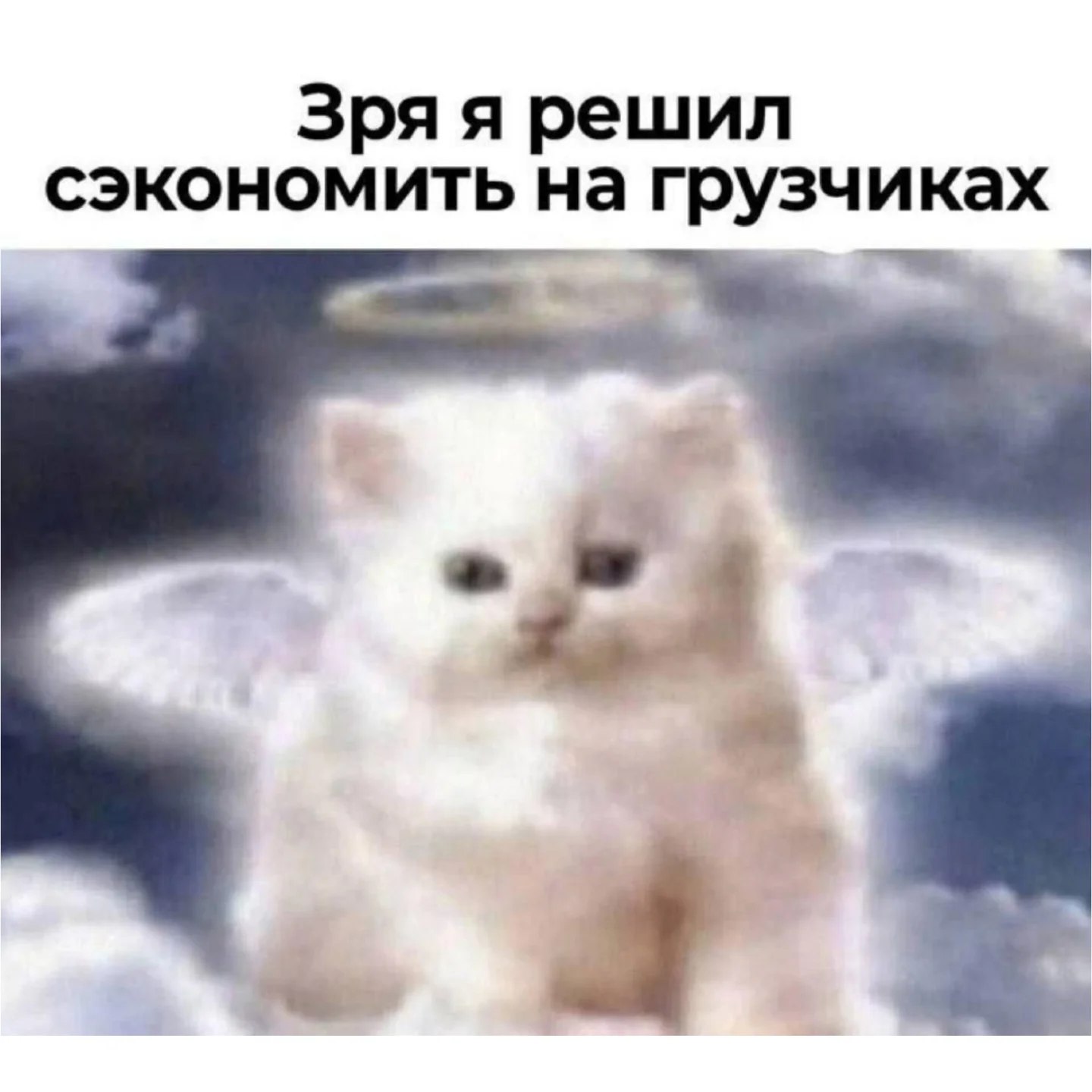 Зря я решил сэкономить на грузчиках i