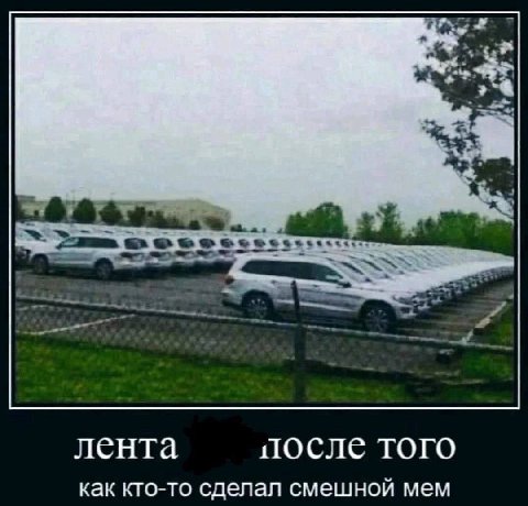 лента после того как кто-то сделал смешнои мем