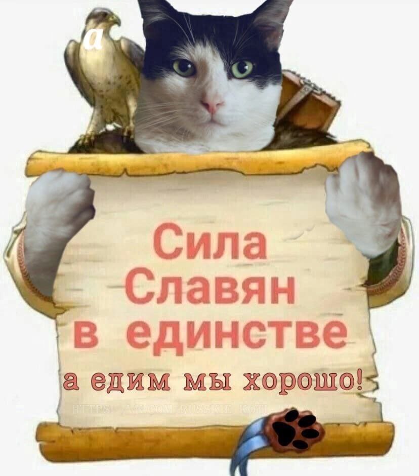 Сила Славян в единстве а едим мы