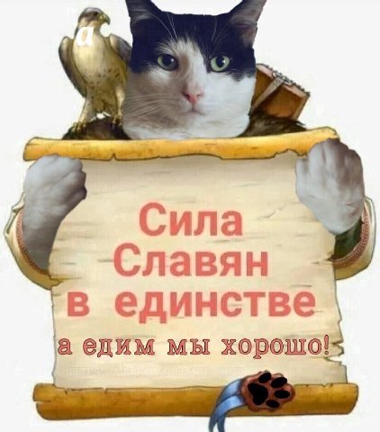 Сила Славян в единстве а едим мы