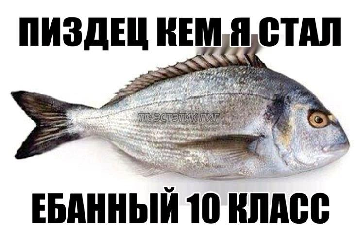 ПИЗДЕЦ СТАЛ ЕБАННЫЙ 10 КЛАСС