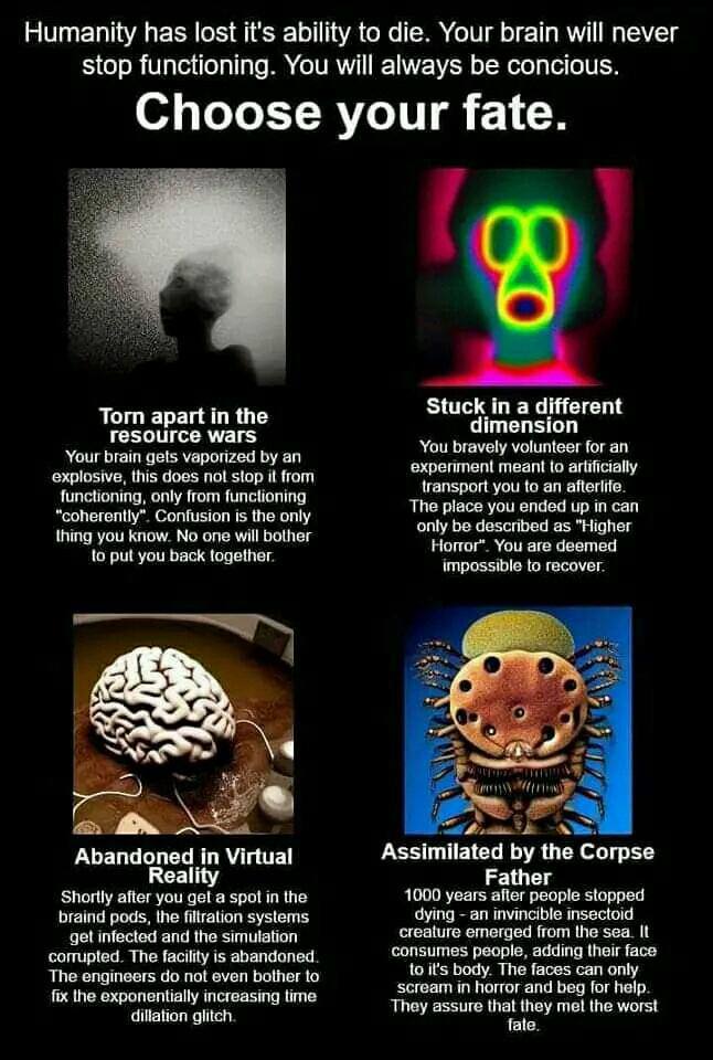 Humanity has lost it's ability to die. Your brain will never stop functioning. You will always be concious. Choose your fate. i Torn apart in the Stuck in a different resource You for an Your brain ge
