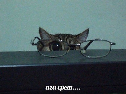 ага среш...