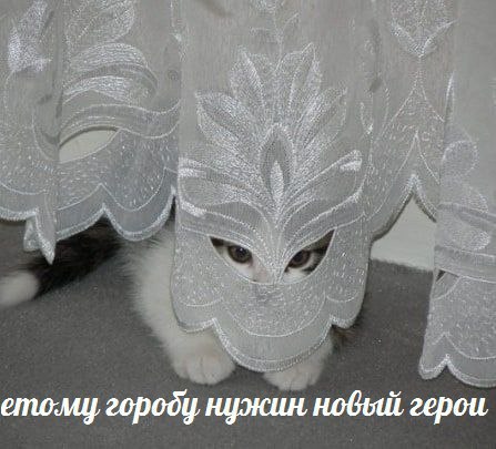 ето:мц городу нужин новый