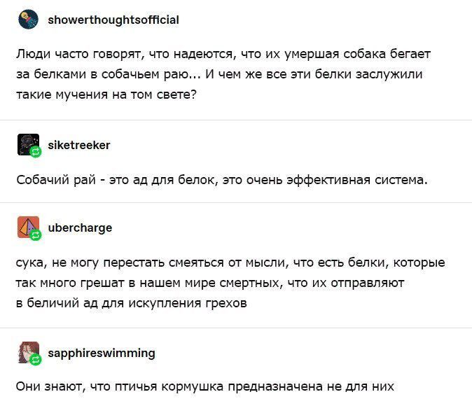 showerthoughtsofficial Люди часто говорят, что надеются, что умершая собака бегает за белками в собачьем раю... И чем же все эти белки заслужили такие мучения на том свете? siketreeker Собачий рай это