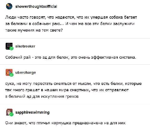 showerthoughtsofficial Люди часто говорят, что надеются, что умершая собака бегает за белками в собачьем раю... И чем же все эти белки заслужили такие мучения на том свете? siketreeker Собачий рай это