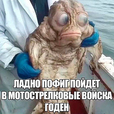 В МОТОСТРЕЛКОВЫЕ
