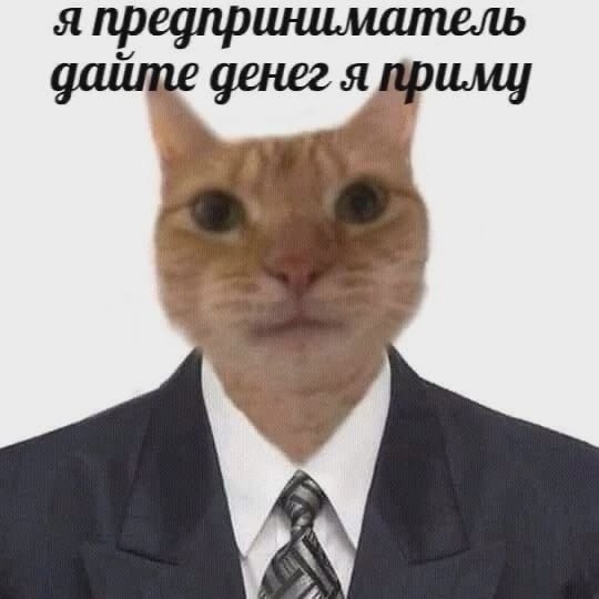 я предприниматель файте денег я прил А