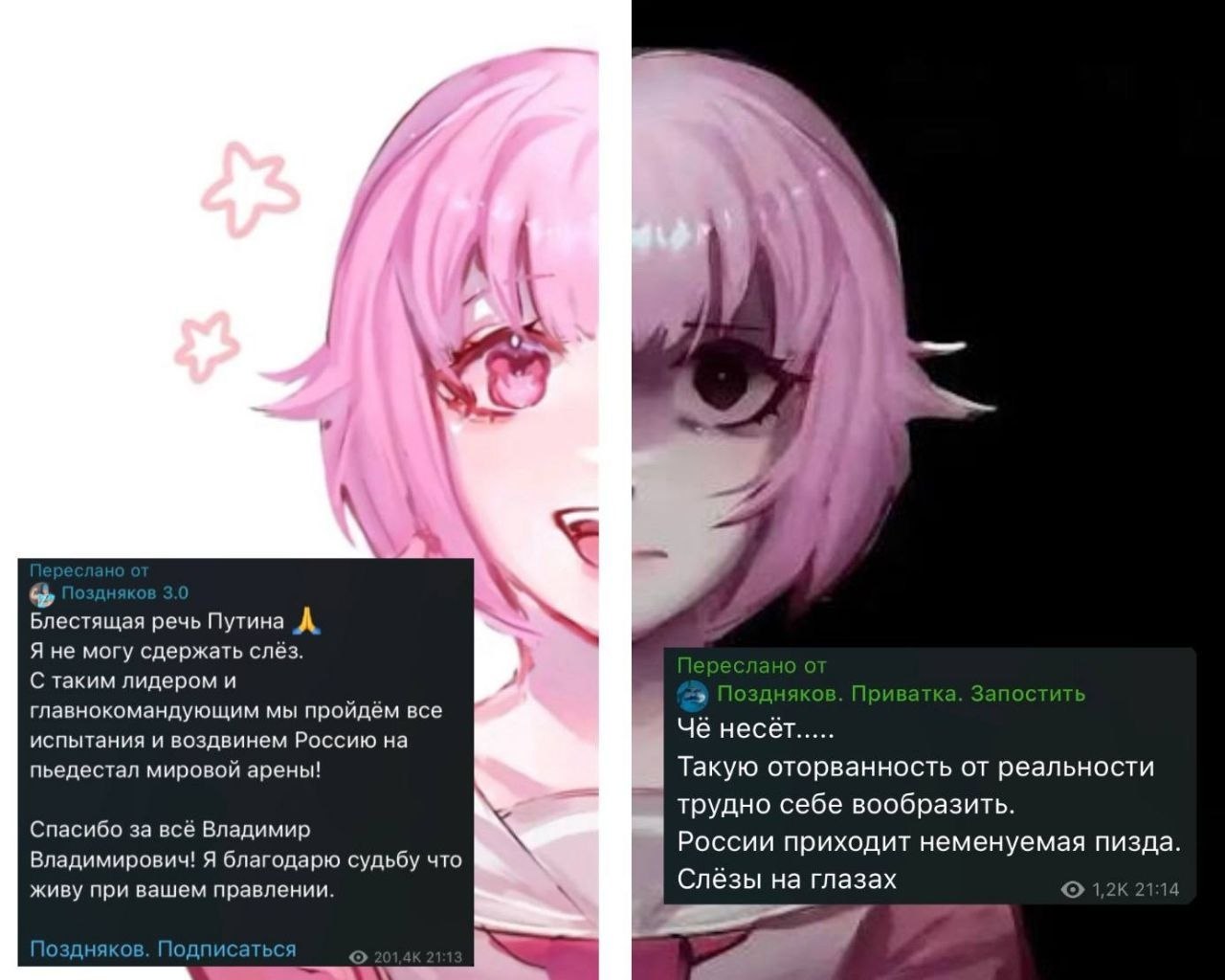 the most goyim position ever is saying stuff like "Wenn das der Fuhrer wüsste"/"Путин не пользуется интернетом, ЕМУ НАДО ДОНЕСТИ!!!!1111!!!" 
people can't be that distant from matters of reality, ever
