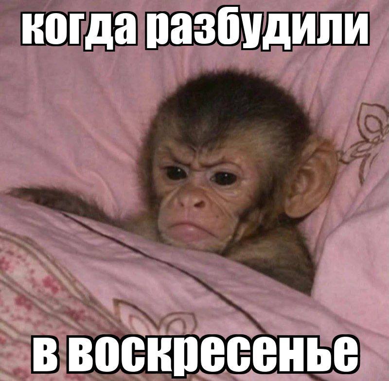 вообще то это день для сна