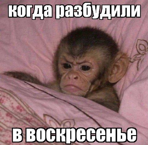 вообще то это день для сна