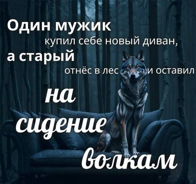 Один мужик купил себе новый диван, а старый отнёс в лес оставил сидение