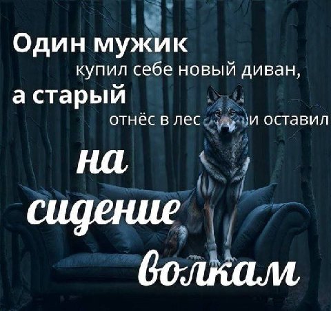 Один мужик купил себе новый диван, а старый отнёс в лес оставил сидение