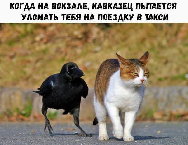 КОГДА НА ВОКЗАЛЕ, КАВКАЗЕЦ ПЫТАЕТСЯ УЛОМАТЬ ТЕБЯ НА ПОЕЗДКУ В ТАКСИ