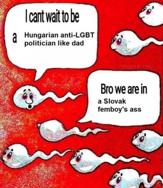 cant wait to be 9 Hungarian anti-LGBT politician like dad Bro we are in a Slovak femboy's ass