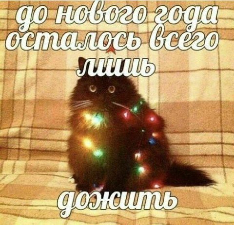 4 и