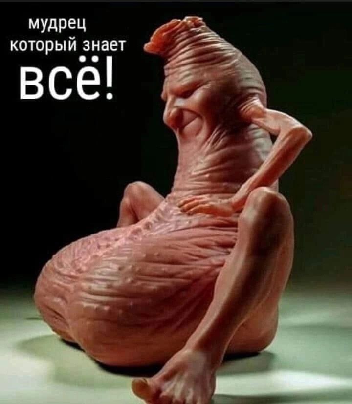 мудрец который знает